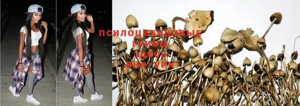 синтетический гашиш Медногорск