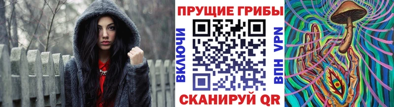 цены   Шлиссельбург  Галлюциногенные грибы GOLDEN TEACHER 